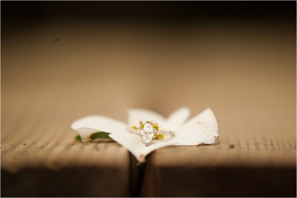 Spring Engagement, The Cottage Photography